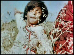 motherindia4 image